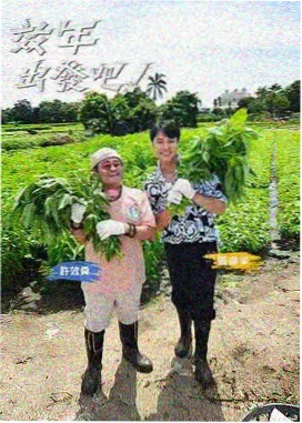 图鉴三:计分板与计时器示意